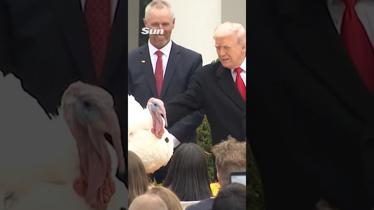 Donald Trump takes a swipe at political rivals as he pardons Thanksgiving turkeys