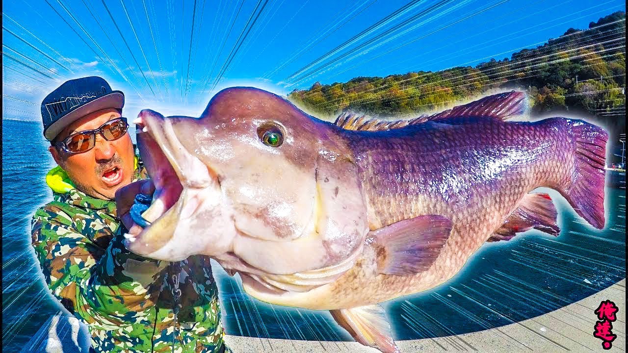 凄い顔の巨大魚が釣れた 俺達 秦拓馬 無料釣り動画tv