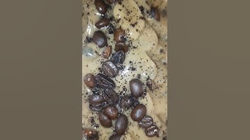 coffe soap making  #soapmaking #coldprocesssoapmaking  #soap#handmade #handmadesoap #smallbusiness