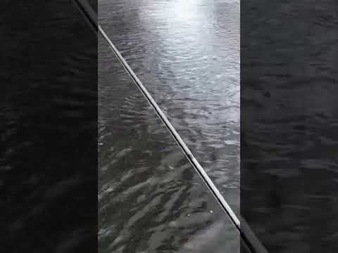 NEW PB?! Boise River Rainbow Trout Fishing-30 Deg Mtn