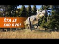 LOVIMO OPASNOG DINOSAURA - Jurassic World Evolution 2 (EP3)