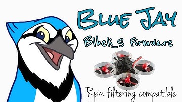 Blue Jay ESC Firmware for RPM Filtering with Blhel_S ESCs