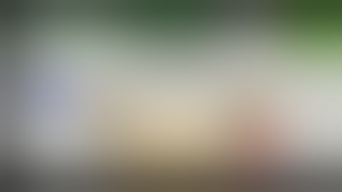 Laura basics mod menu android