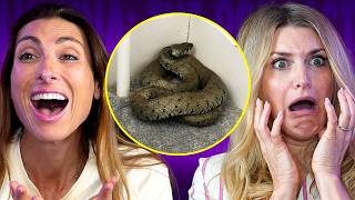 SNAKE FOUND IN KIDS TOYBOX... THIS SHOULDN’T BE IN THE UK…