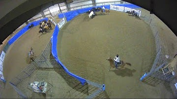 Big Sky Ranch Sorting Saddle Series #4 - #5 SORT - Round #2 - Ride #20