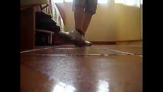 Thiago Alves - [REBOLATION]