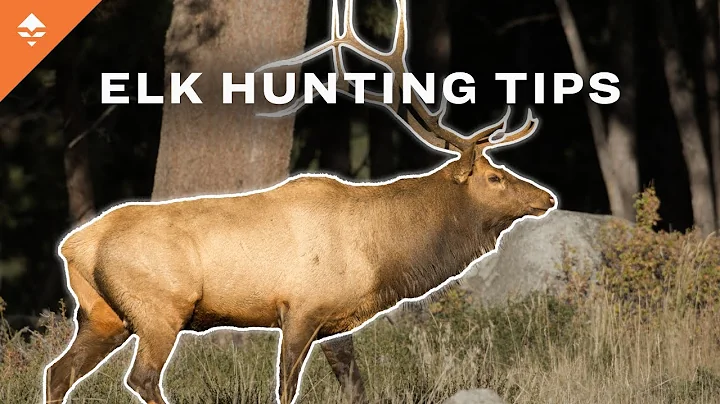 Uncovering Elk Behavior: Cracking the Code to Prime Hunting Spots