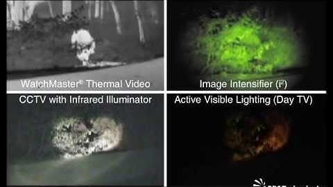 DRS WatchMaster® IP - through foliage