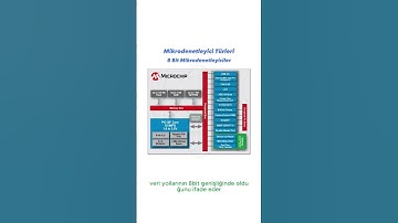 8 Bit Mikrodenetleyiciler   #elektronik #mikrokontroler #mcu #cpu  #mikroişlemci #shorts  #dijital