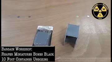 Bargain Workshop: Reaper Bones Black 10 ft Container