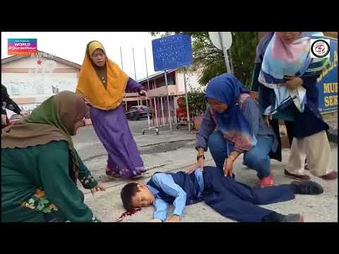 Video: Jaring tahi lalat - anugerah untuk tukang kebun