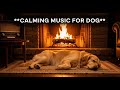 12 hours of Calming Music for Dogs : Help Reduce Anxiety &amp; Promote Relaxation for a Peaceful Pet 🐕😴