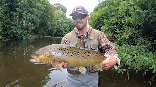 Fly Fishing for BIG TROUT!!!