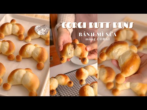 Video: Làm A Corgi Loaf