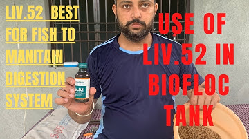 Use of liv.52 in biofloc tank|| why we use liv.52 for biofloc fish farming?
