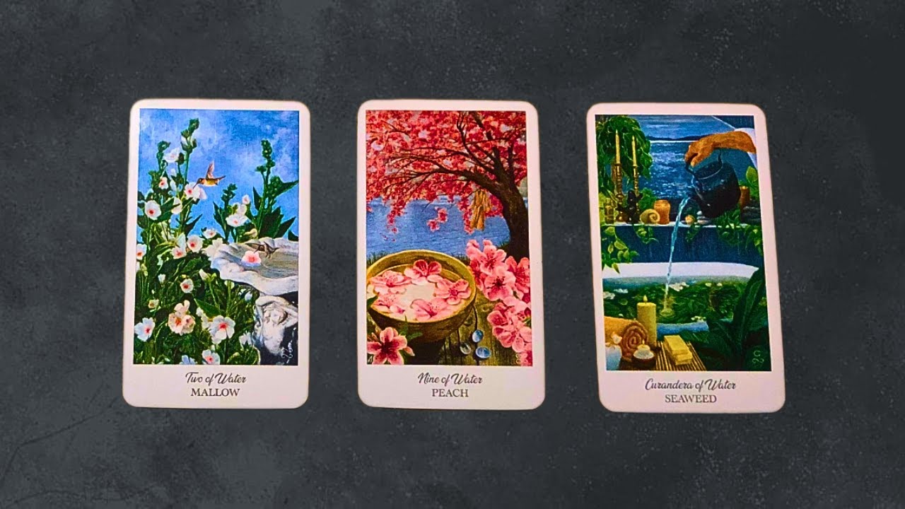 CẢM GIÁC ĐẶC BIỆT CỦA MỌI NGƯỜI VỀ BẠN @ChubbyTarot TAROT READING