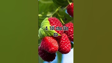 7 Lợi Ích Tuyệt Diệu Của Quả Mâm Xôi I 10 PHÚT MỖI NGÀY #health #tintuc #mamxoi #raspberries