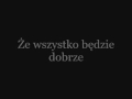 Three Days Grace - Never Too Late (Tłumaczenie PL) 