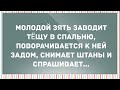 Молодой зять заводит тёщу в спальню... Сборник Свежих Анекдотов! Юмор