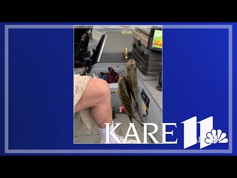 החדשות הטובות שלך מהדורת אטלנטה של יום שישי 