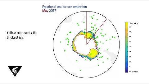 SOCCOM profiling floats and the changing Antarctic ice cover