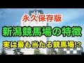 【新潟競馬場解説】傾向がハッキリした競馬場！この傾向をしっかりつかめ！