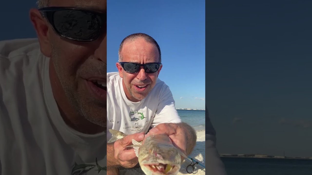 Giant lizardfish with terrifying teeth! 
