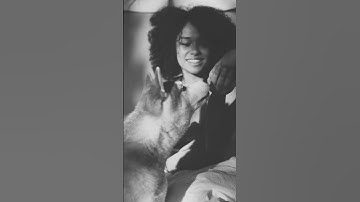 Embracing Imperfection: Learning, Growing, and Moving Forward #MotivatingDogs #Mindset #shorts