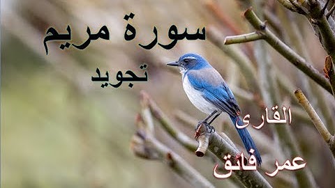 سورة مريم - القارئ عمر فائق