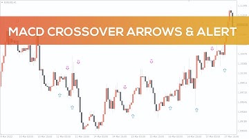 MACD Crossover Arrows & Alert Indicator for MT4 - FAST REVIEW