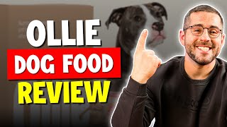 Ollie Dog Food: The Best Dog Food Around?