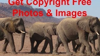 Sourcing copyright free images and photographs for websites and marketing  projects