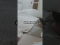 Unlock the Secrets: Keep a Notepad by Your Bed!
