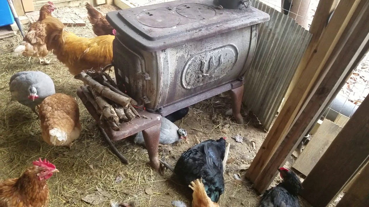 Wood Stove Heater In Animal Coop Video 45 20181207 YouTube