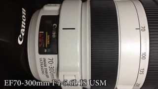 EF70-300mm F4-5.6L IS USM 妥協の望遠Lズームレンズ - Music Box