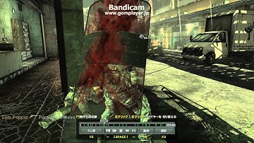 【CoDMW3】チーター晒し動画