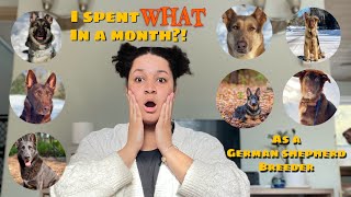 I Spent How Much As A German Shepherd Breeder?! 🤯 by An Irie Shepherd 1,593 views 2 years ago 22 minutes