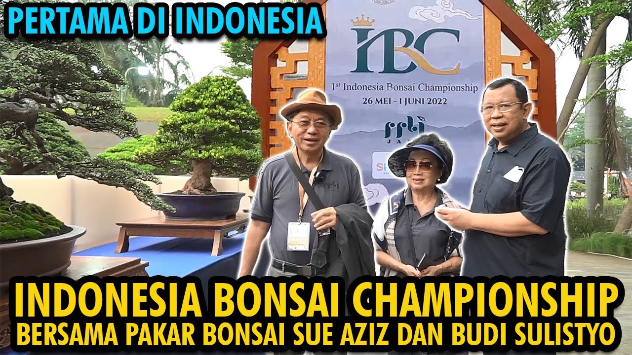 ПЕРВЫЙ! ЧЕМПИОНАТ ИНДОНЕЗИИ ПО БОНСАЙ (IBC) СЕНАЯНСКИЙ ПАРК ДЖАКАРТА СО СЬЮ АЗИЗ И @styobudi22​