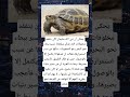 كن كالسلحفاة في يقينها لا يهم كم أنت بطيء المهم ألا تتوقف عن التوجه نحو هدفك