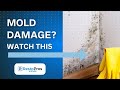 Southeast Atlanta Mold Removal Company | RestoPros of Southeast Atlanta