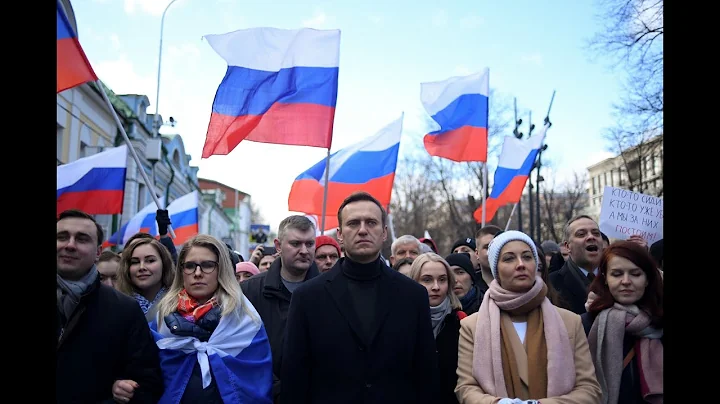 Alexei Navalny Returns to Russia