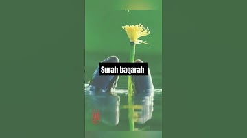 الَّذِينَ يَنقُضُونَ عَهْدَ اللَّهِ  تلاوة خاشعة للشيخ د.سعود الشريم |سورة البقرة #سعود_الشريم​