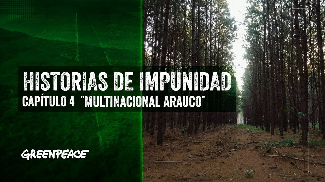 El Desconcierto | https://www.youtube.com/embed/SvX7FkLHHTQ&ab_channel=GreenpeaceArgentina