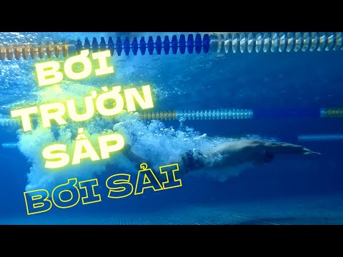 Bơi trườn sấp