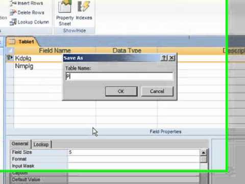 database to delphi.flv