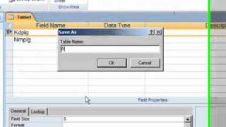 database to delphi.flv