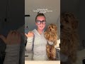 don’t need that negative energy #puppy #shortfeed