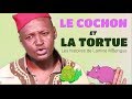 Le cochon et la tortue  les histoires de lamine mbengue