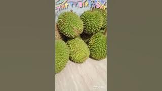 DJ REMIX LAGU DAYAK KALTENG-TAPALALAU-