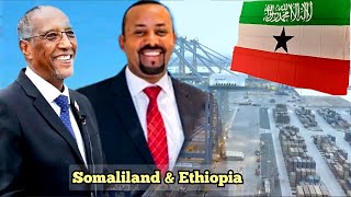 Somaliland Oo Cayintay Goobaha Itoobiya Laga Kiraynayo Iyo Xiliga Aqoonsiga Loogu Dhawaqayo